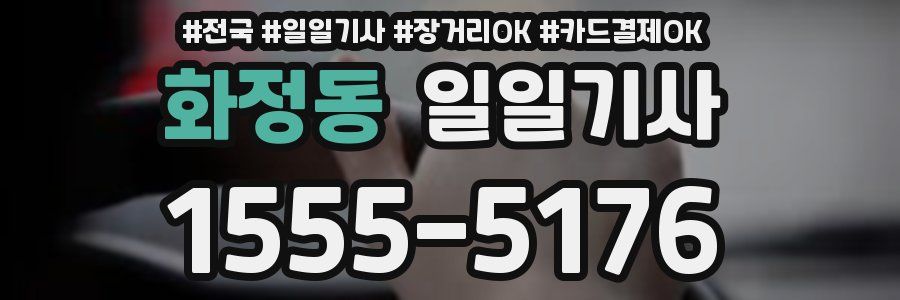 화정동 일일기사