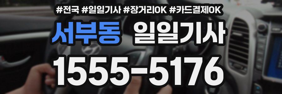 서부동 일일기사