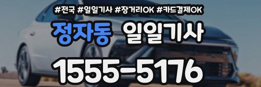 정자동 일일기사