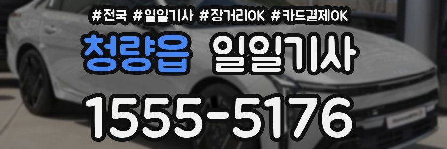 청량읍 일일기사