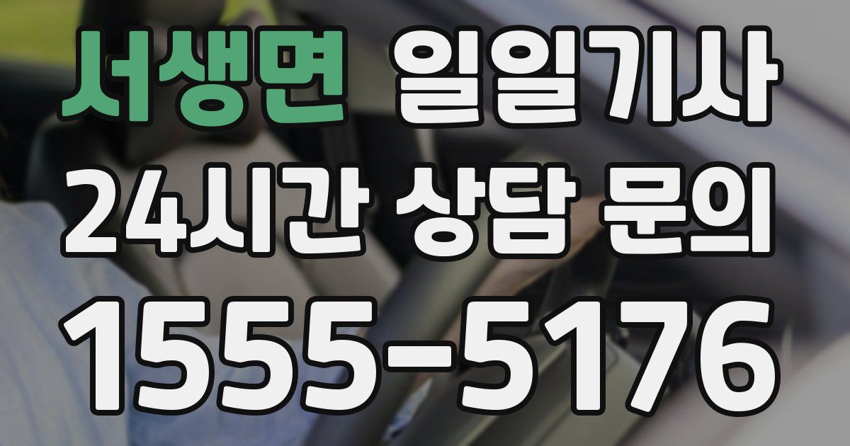 일일대리기사