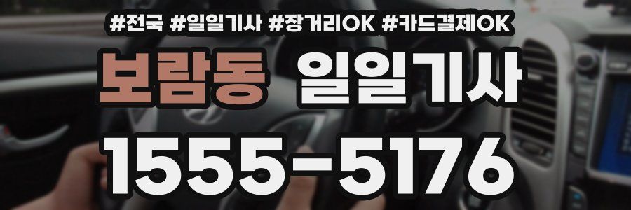 보람동 일일기사