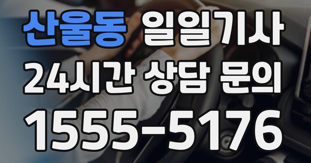 일일대리기사