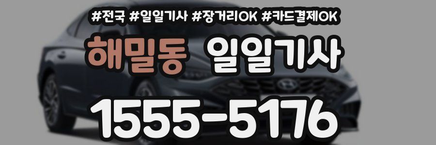해밀동 일일기사