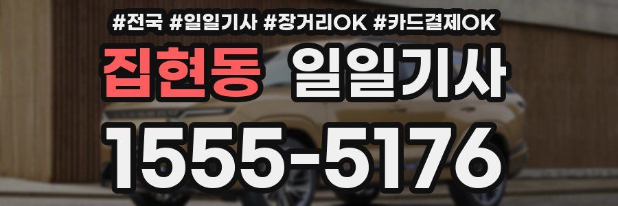 집현동 일일기사