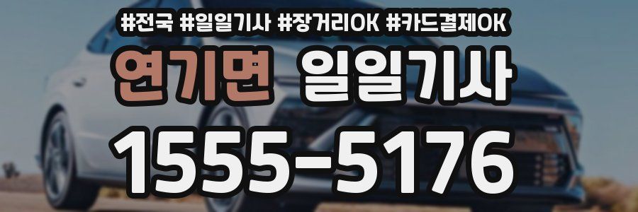 연기면 일일기사