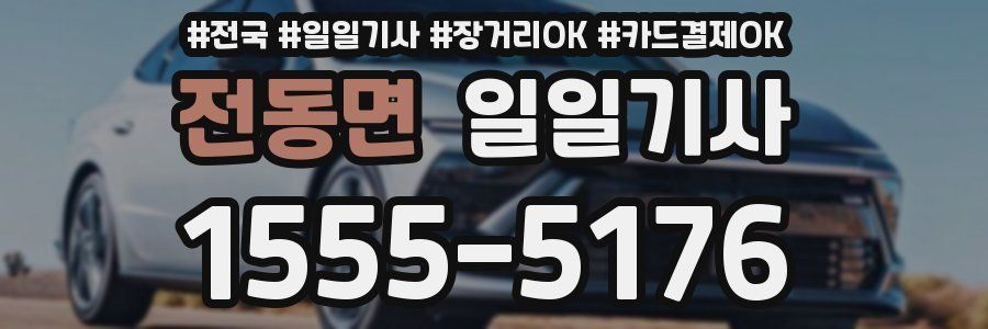 전동면 일일기사