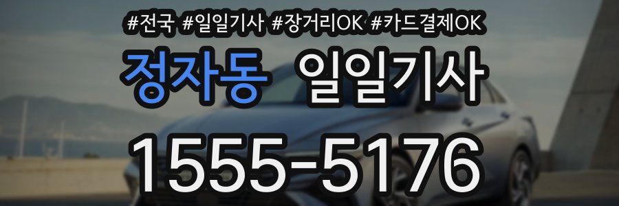 정자동 일일기사