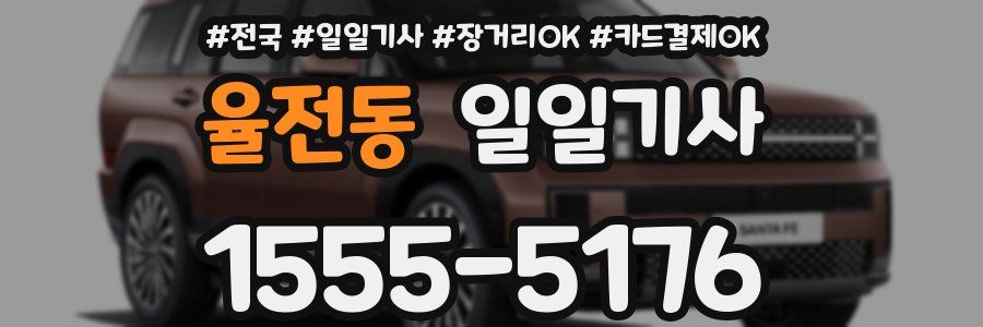 율전동 일일기사