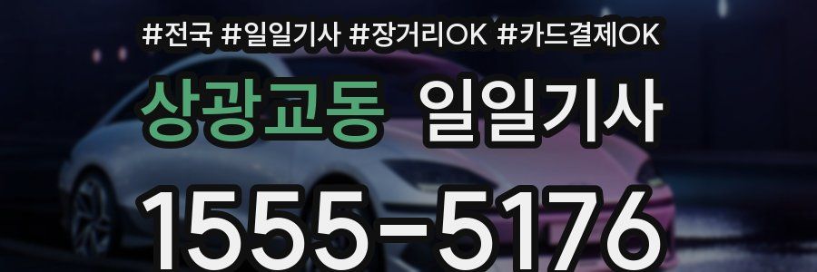 상광교동 일일기사