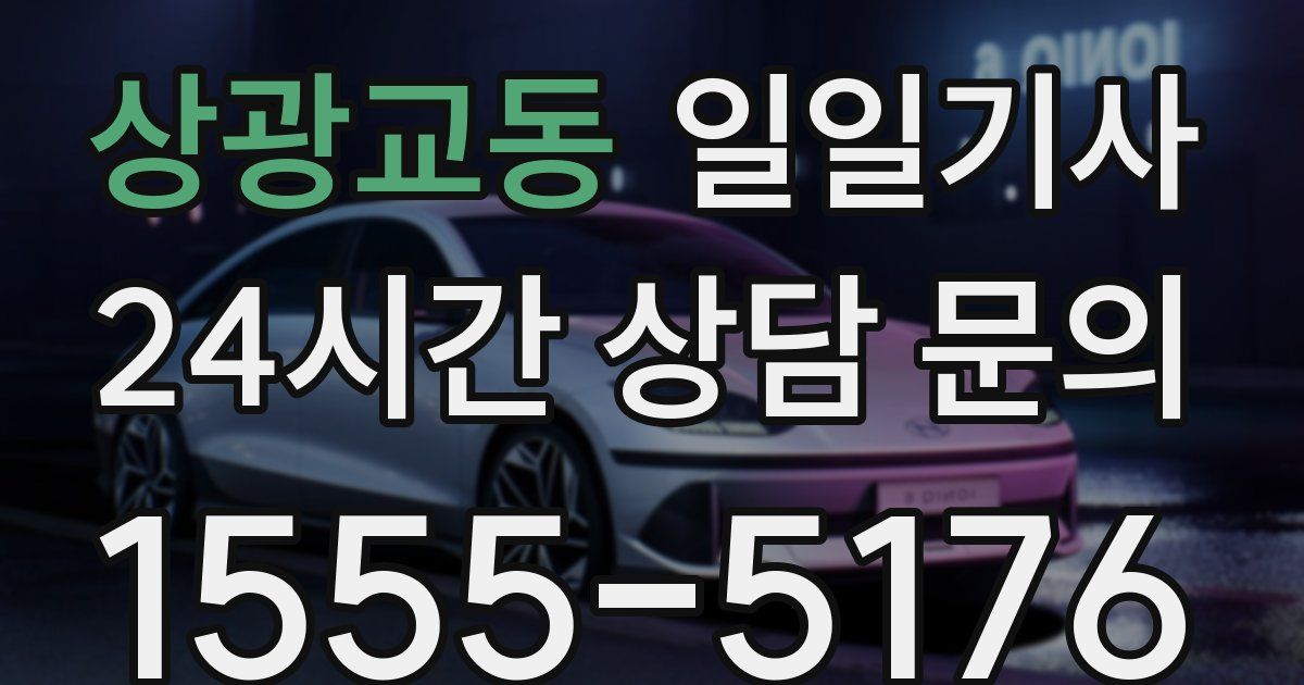 일일대리기사