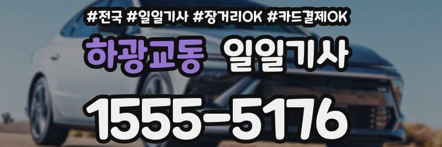 하광교동 일일기사