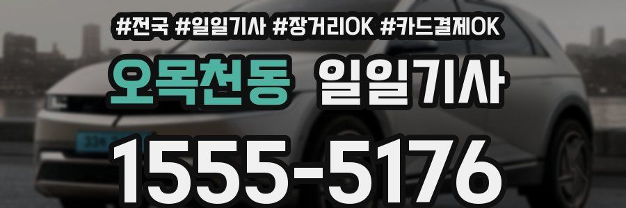 오목천동 일일기사