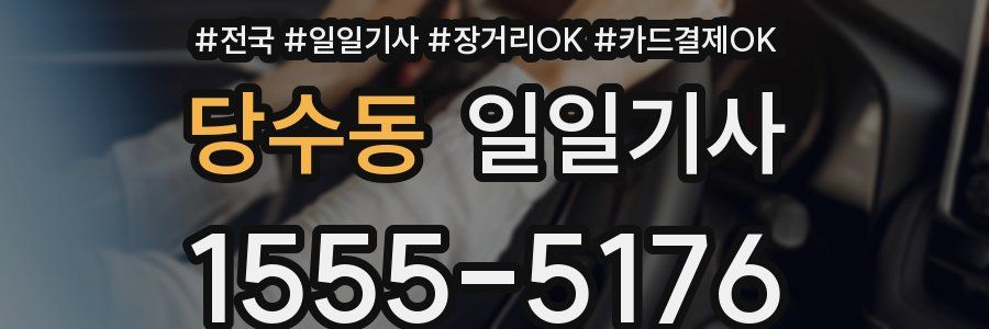 당수동 일일기사
