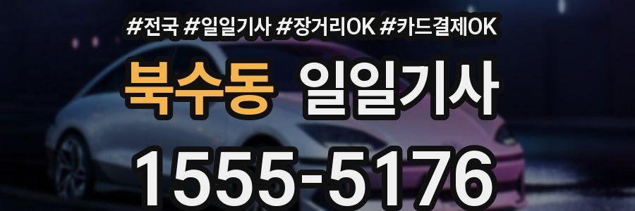 북수동 일일기사