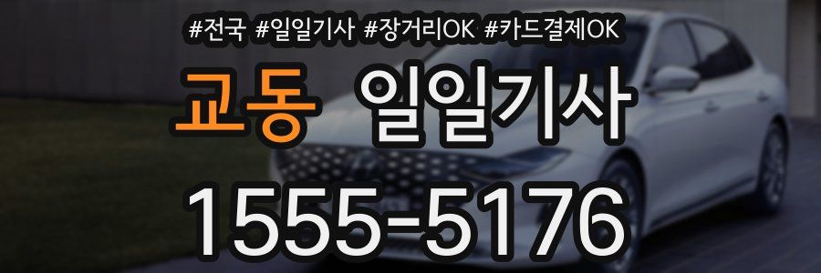 교동 일일기사