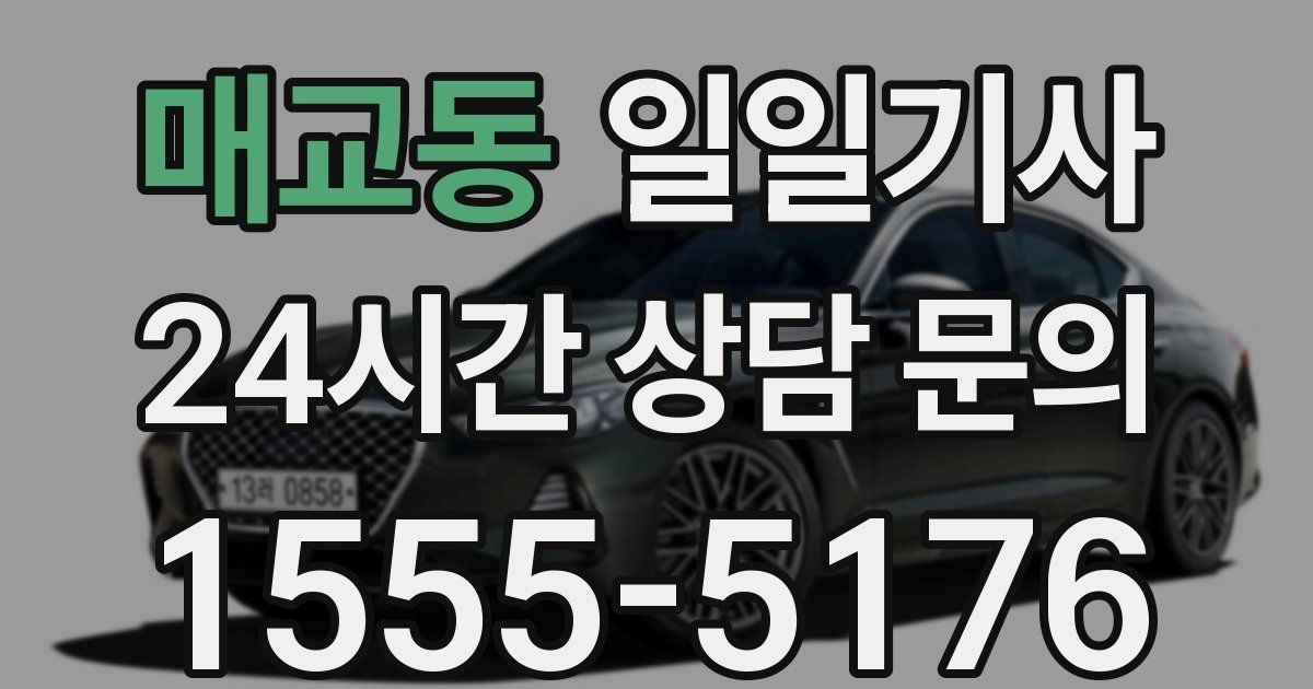 일일대리기사