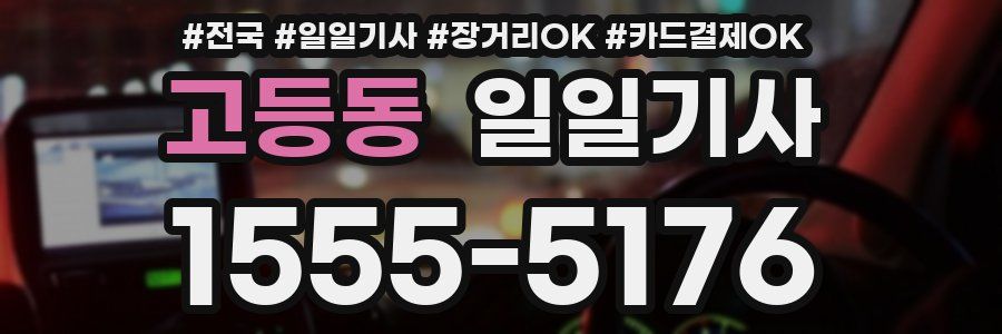 고등동 일일기사