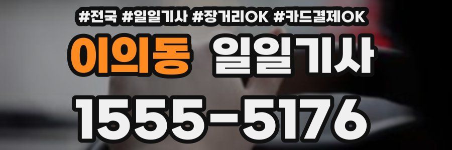 이의동 일일기사