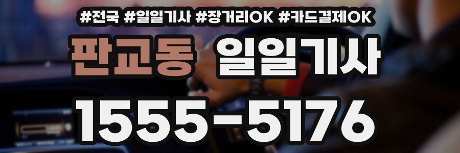 판교동 일일기사