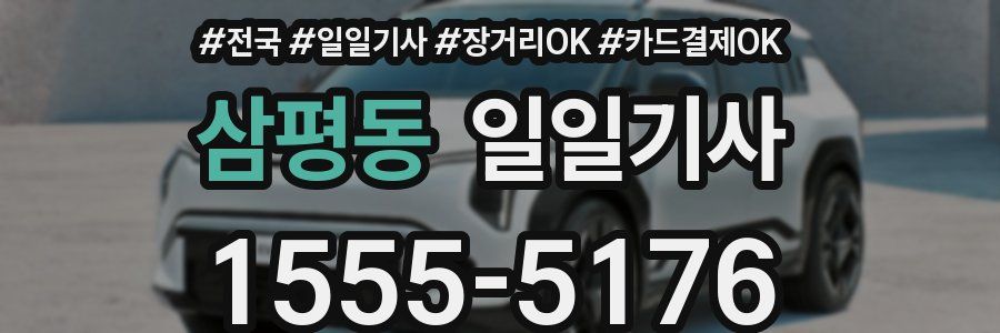 삼평동 일일기사
