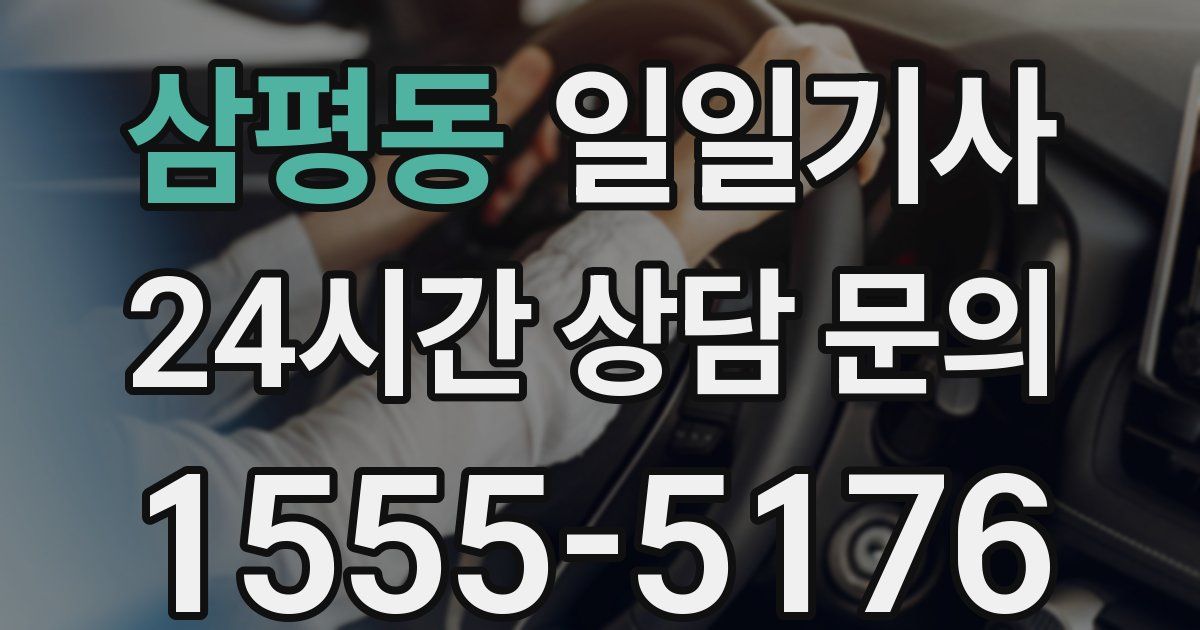 일일대리기사