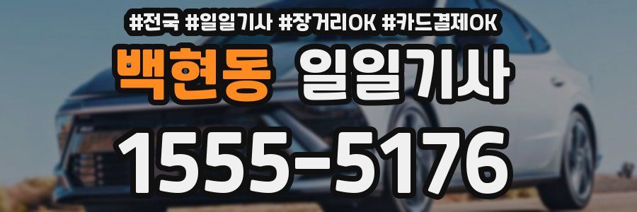 백현동 일일기사