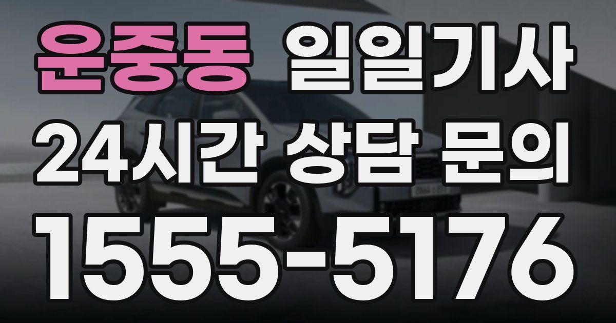 일일대리기사