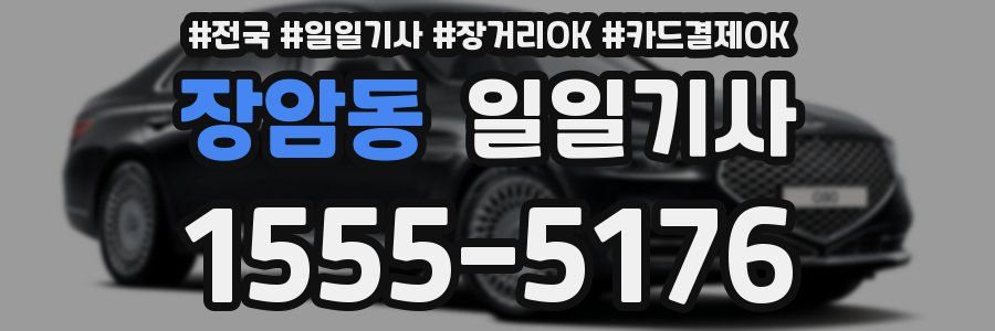 장암동 일일기사
