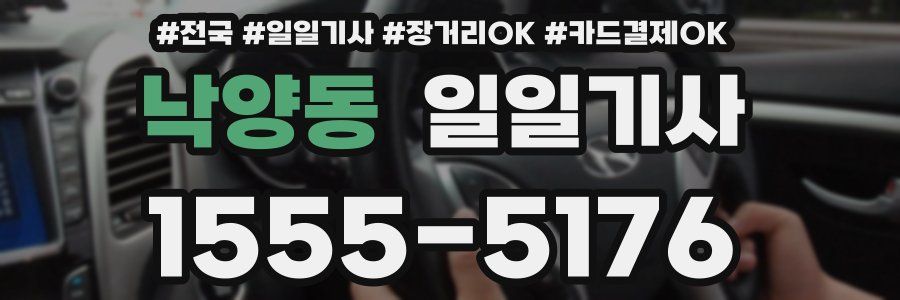 낙양동 일일기사