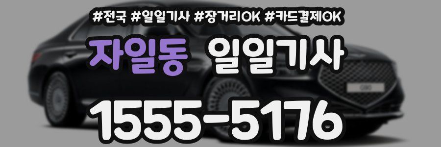 자일동 일일기사