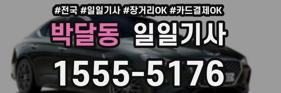 박달동 일일기사