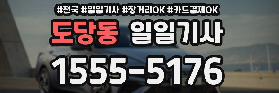 도당동 일일기사