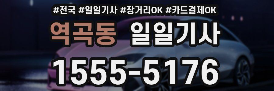 역곡동 일일기사