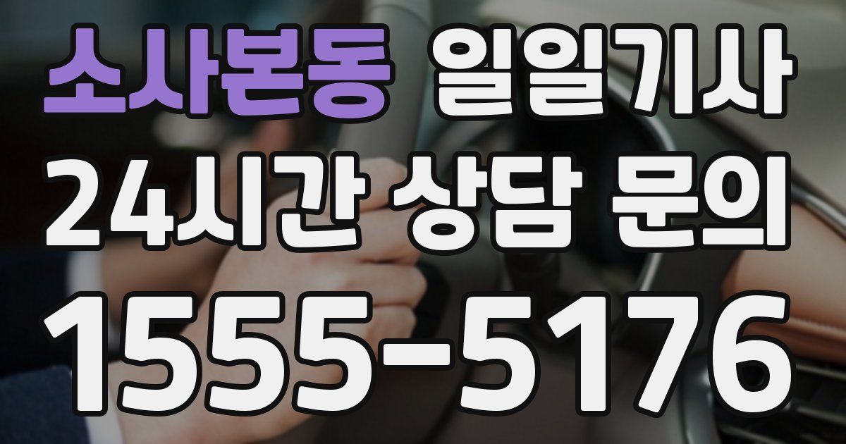 일일대리기사