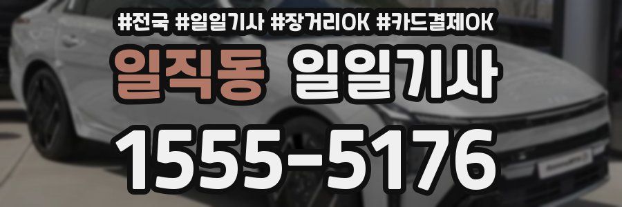 일직동 일일기사