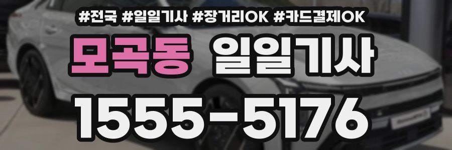 모곡동 일일기사