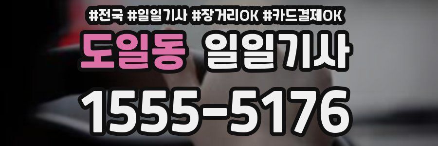 도일동 일일기사