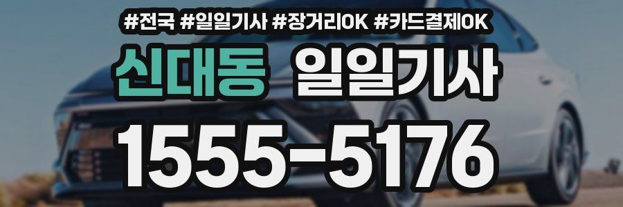 신대동 일일기사