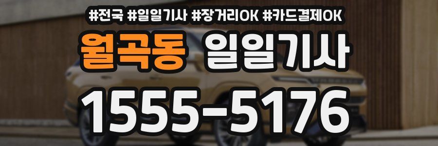 월곡동 일일기사