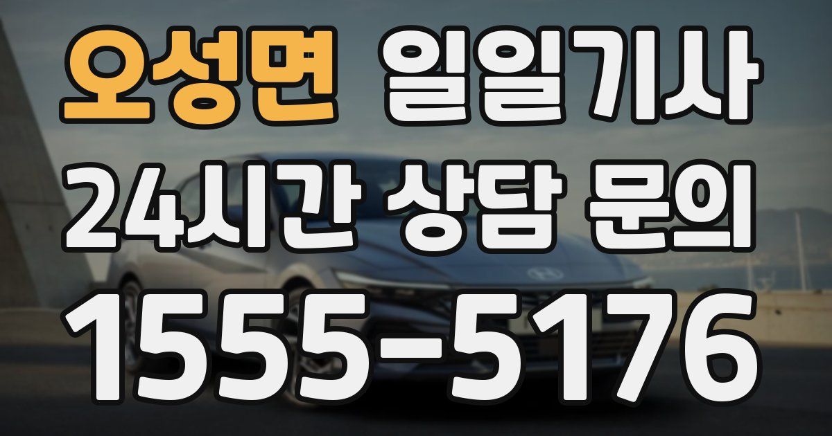 일일대리기사