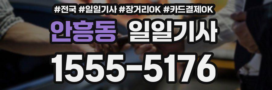 안흥동 일일기사