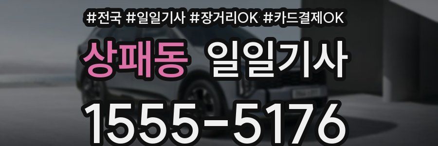 상패동 일일기사