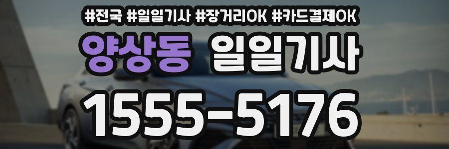 양상동 일일기사