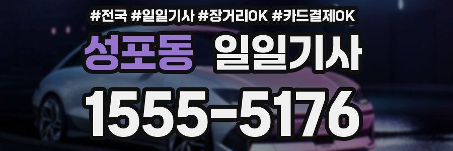 성포동 일일기사