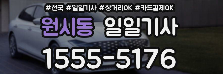 원시동 일일기사