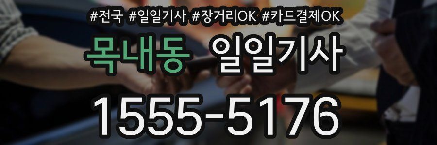 목내동 일일기사