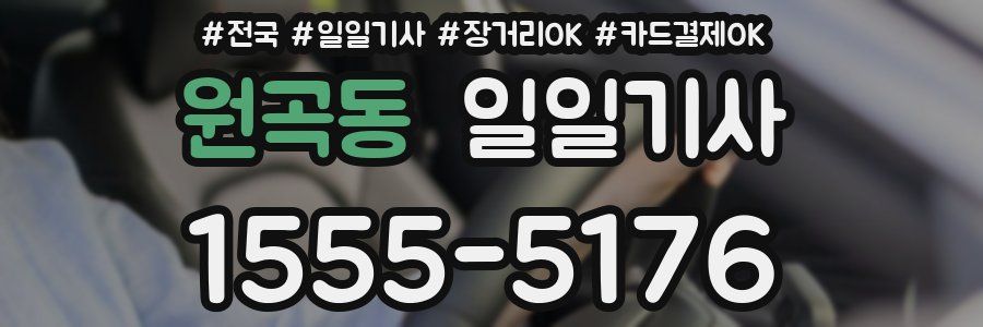 원곡동 일일기사