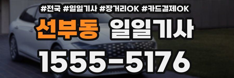 선부동 일일기사