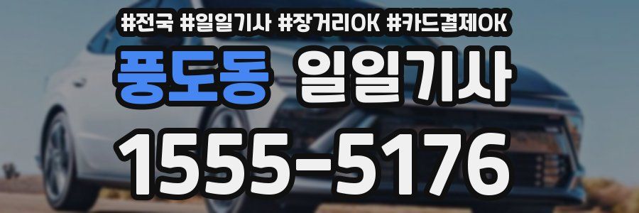 풍도동 일일기사